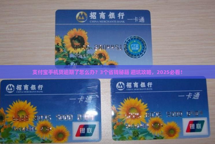 支付宝手机贷逾期
