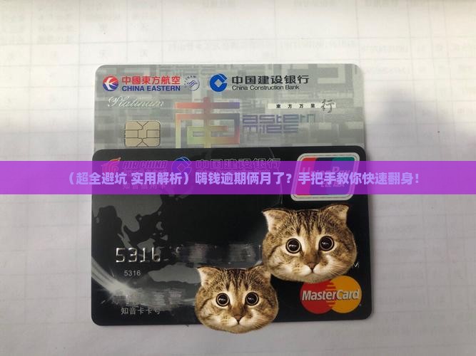 嗨钱逾期俩月该怎么办