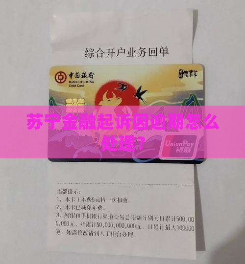 有被苏宁金融起诉过的么怎么处理