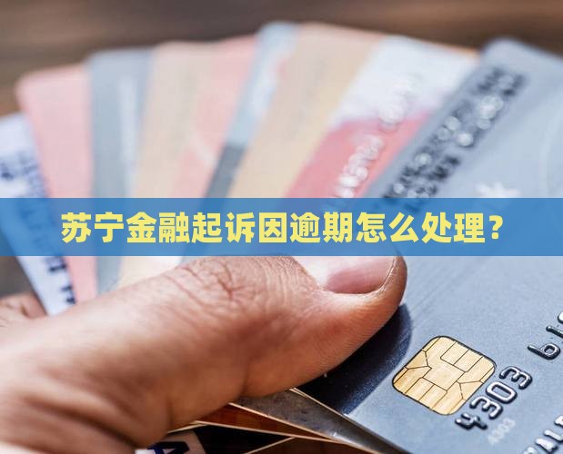 有被苏宁金融起诉过的么怎么处理