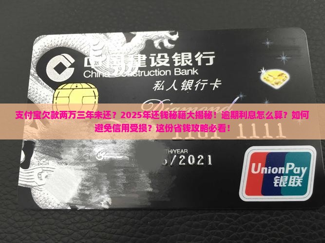 支付宝欠款两万三年未还