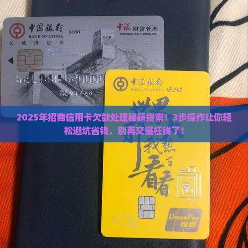 招商信用卡欠款处理方法