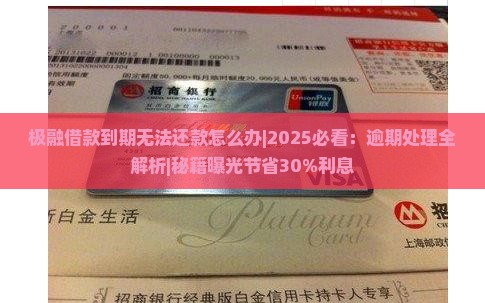 极融借款到期无法还款怎么办