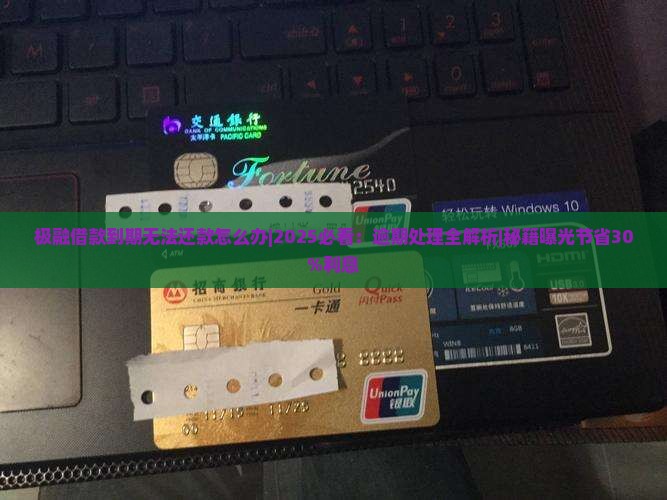 极融借款到期无法还款怎么办