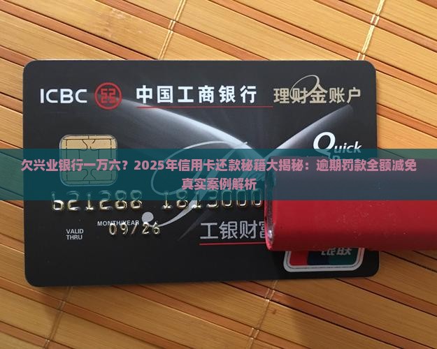 欠兴业银行一万六