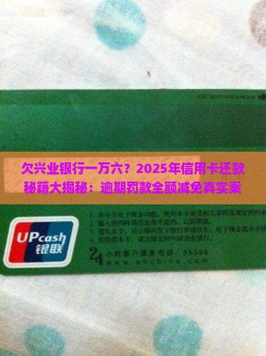 欠兴业银行一万六