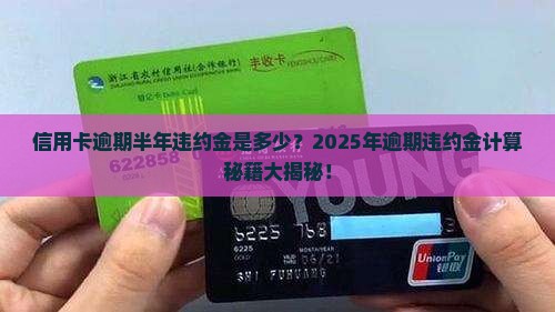 信用卡逾期半年违约金多少