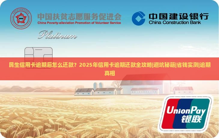 民生信用卡逾期后怎么还款