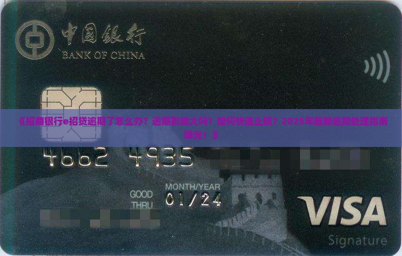 招商的e招贷逾期怎么处理