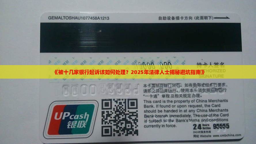 被十几家银行起诉应该如何处理