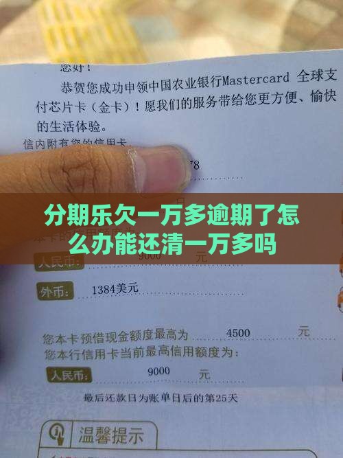 分期乐欠一万多怎么办