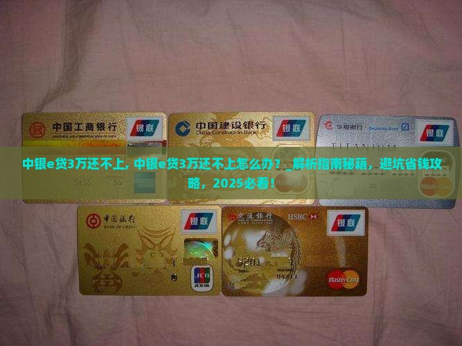 中银e贷3万还不上