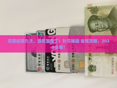 花薪逾期六天了怎么办可以补交吗
