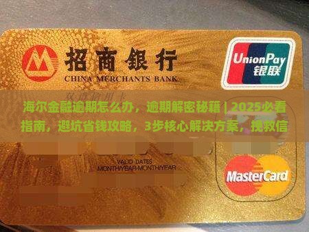 海尔金融逾期怎么办