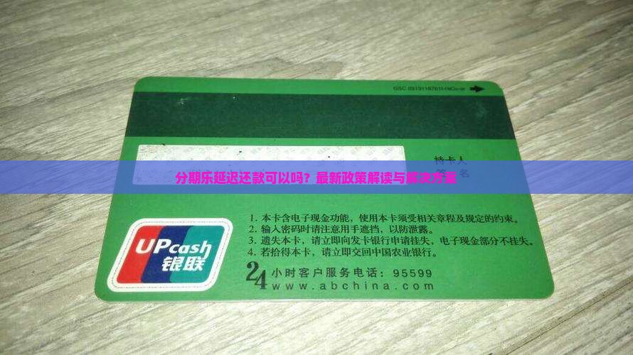 分期乐延迟还款可以吗
