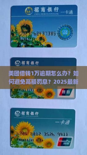 美团借钱1万逾期如何处理