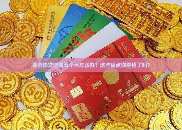 喜鹊快贷逾期五个月