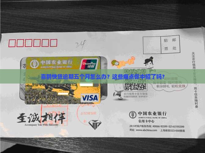 喜鹊快贷逾期五个月