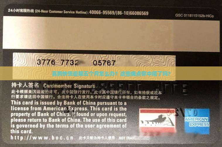 喜鹊快贷逾期五个月
