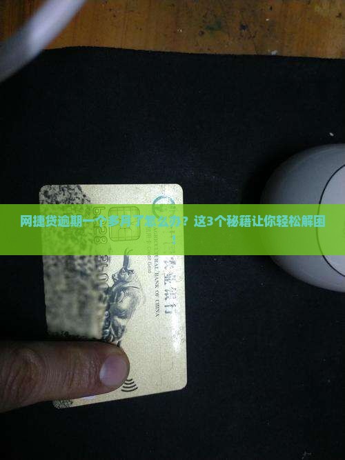 网捷贷逾期一个多月了怎么办