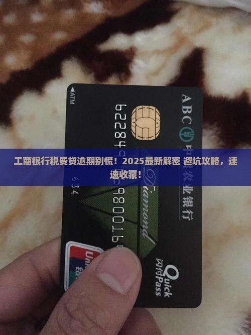 工商银行税费贷逾期怎么办