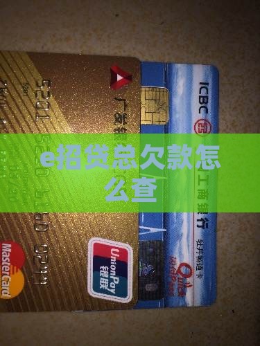 e招贷总欠款怎么查