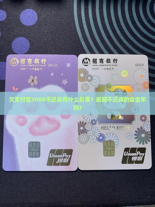 欠支付宝3000不还会有什么后果