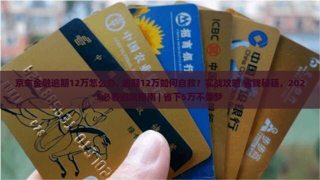 京东金融逾期12万怎么办
