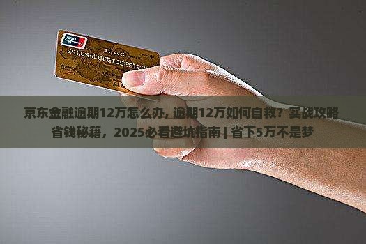京东金融逾期12万怎么办