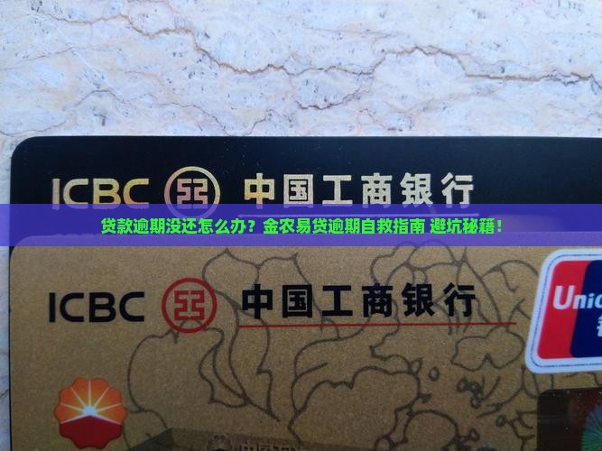 金农易贷贷款逾期没还应该怎么办