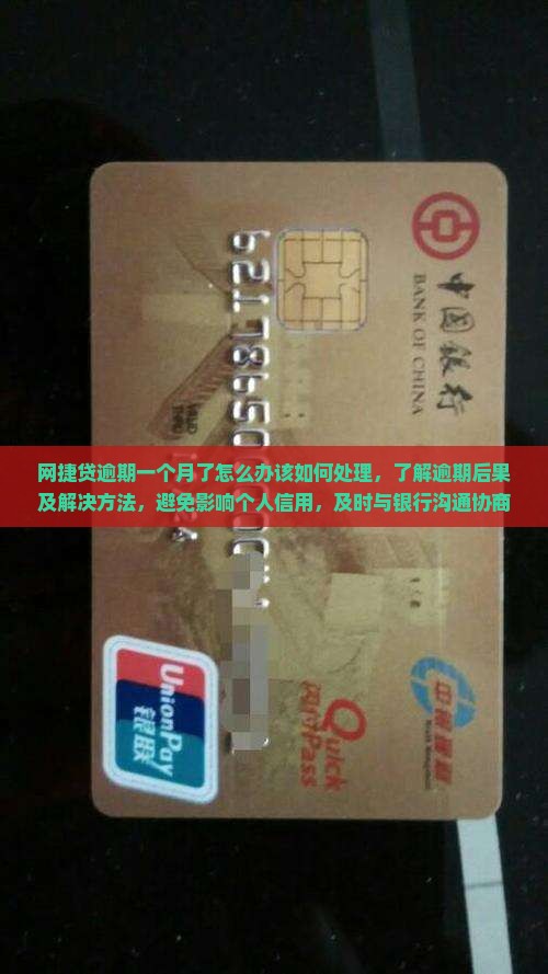 网捷贷逾期一个月了怎么办该如何处理