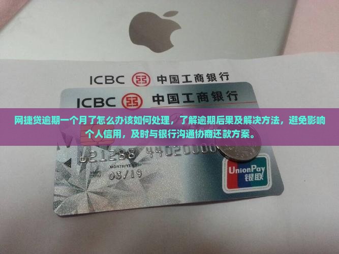 网捷贷逾期一个月了怎么办该如何处理