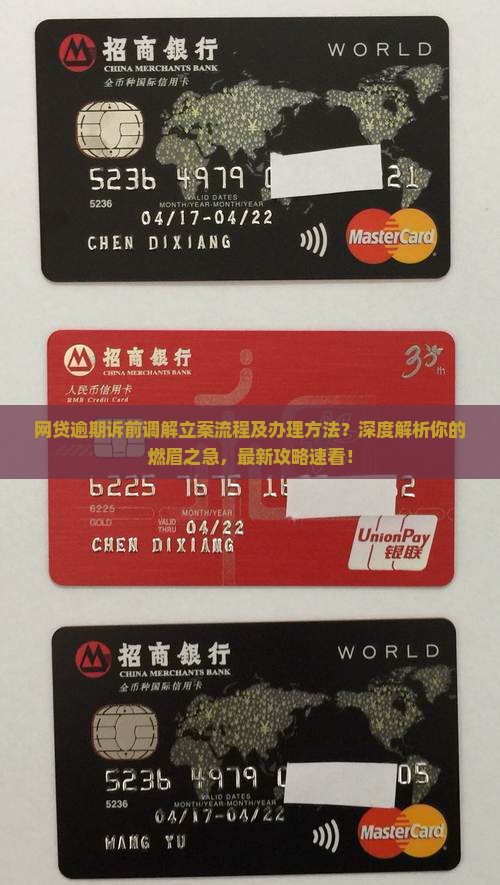 网贷逾期诉前调解立案流程及办理方法