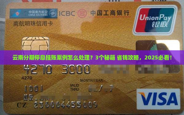 云南分期停息挂账案例如何处理