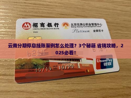 云南分期停息挂账案例如何处理