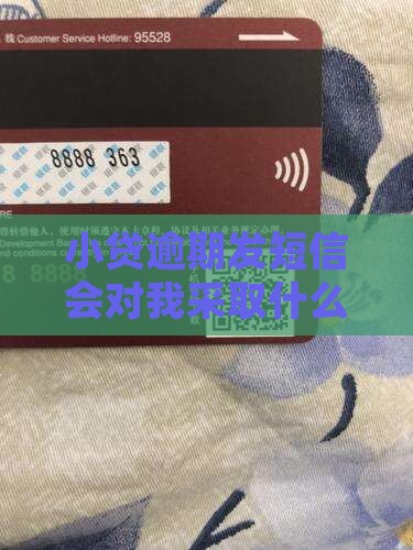 小贷逾期发短信会对我采取什么法律行动