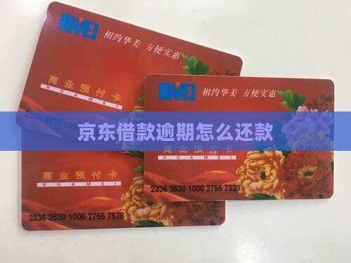 京东借款逾期怎么还款