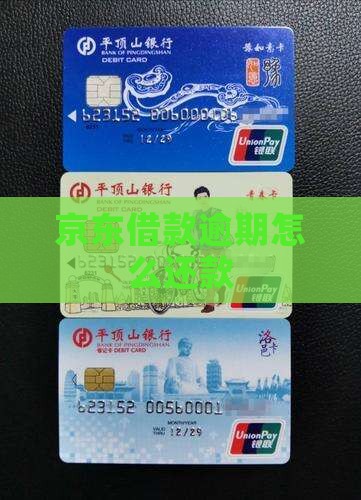 京东借款逾期怎么还款