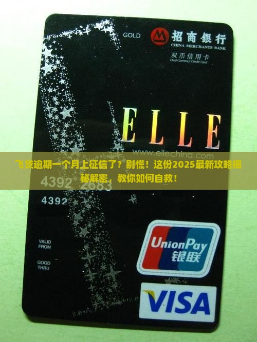 飞贷逾期一个月上征信怎么办
