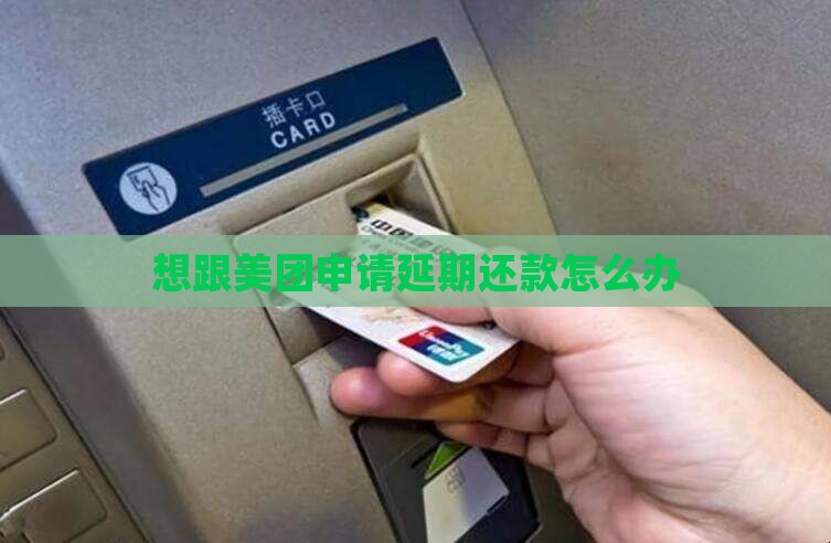 想跟美团申请延期还款怎么办