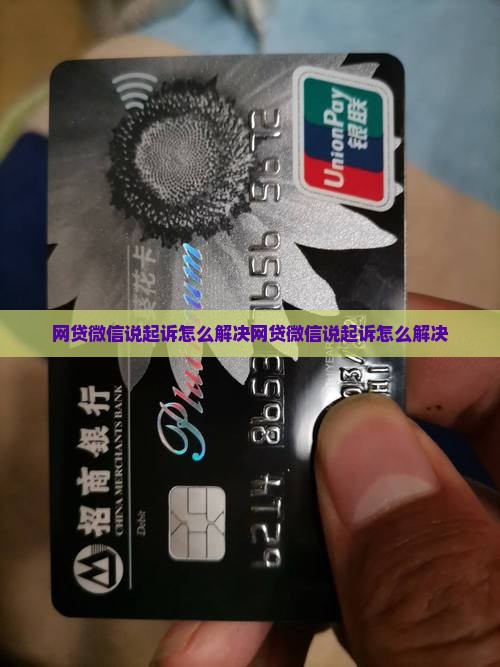 网贷微信说起诉怎么解决