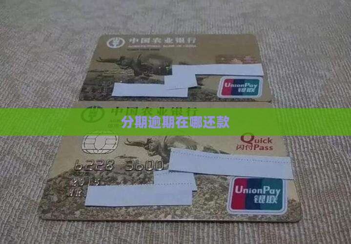 分期乐逾期额在哪里逾期还款