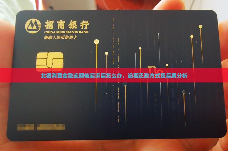北银消费金融逾期被起诉后怎么办