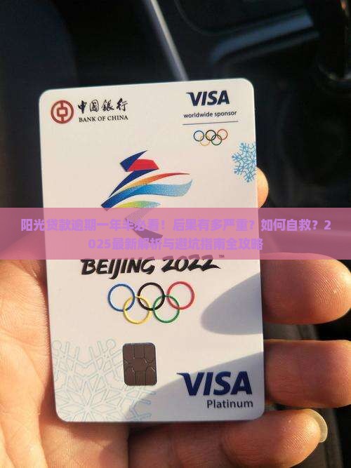 阳光贷款逾期一年半了会有什么后果