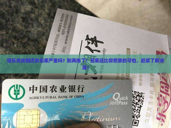 借乐花逾期还款后果严重吗
