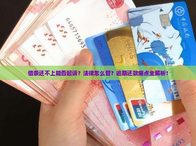借条还不上能否起诉法律规定是怎样的
