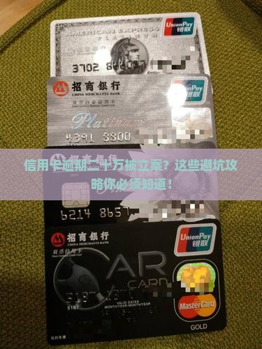 信用卡逾期二十万立案应该怎么处理