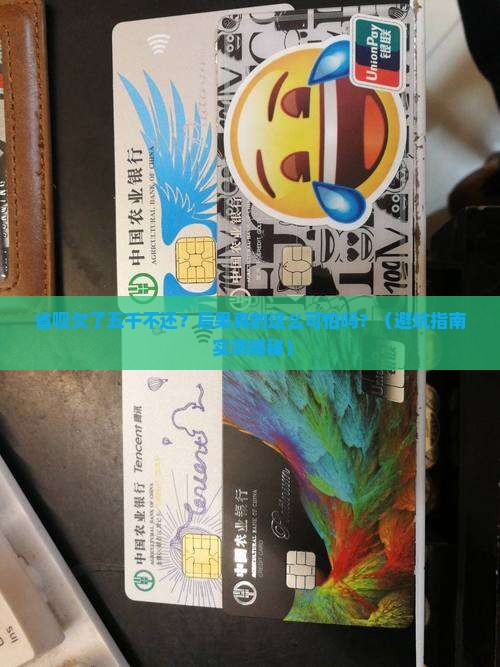 省呗欠款五千不还会有什么后果
