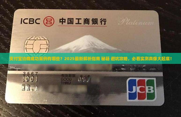 支付宝协商成功案例有哪些