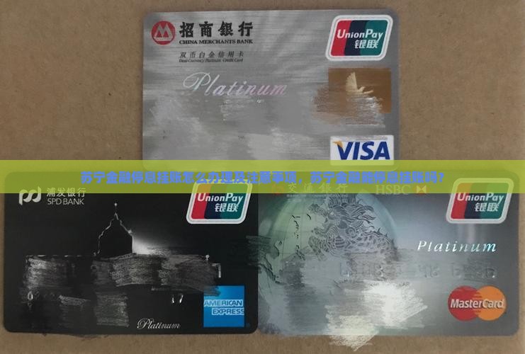 苏宁金融停息挂账怎么办理及注意事项